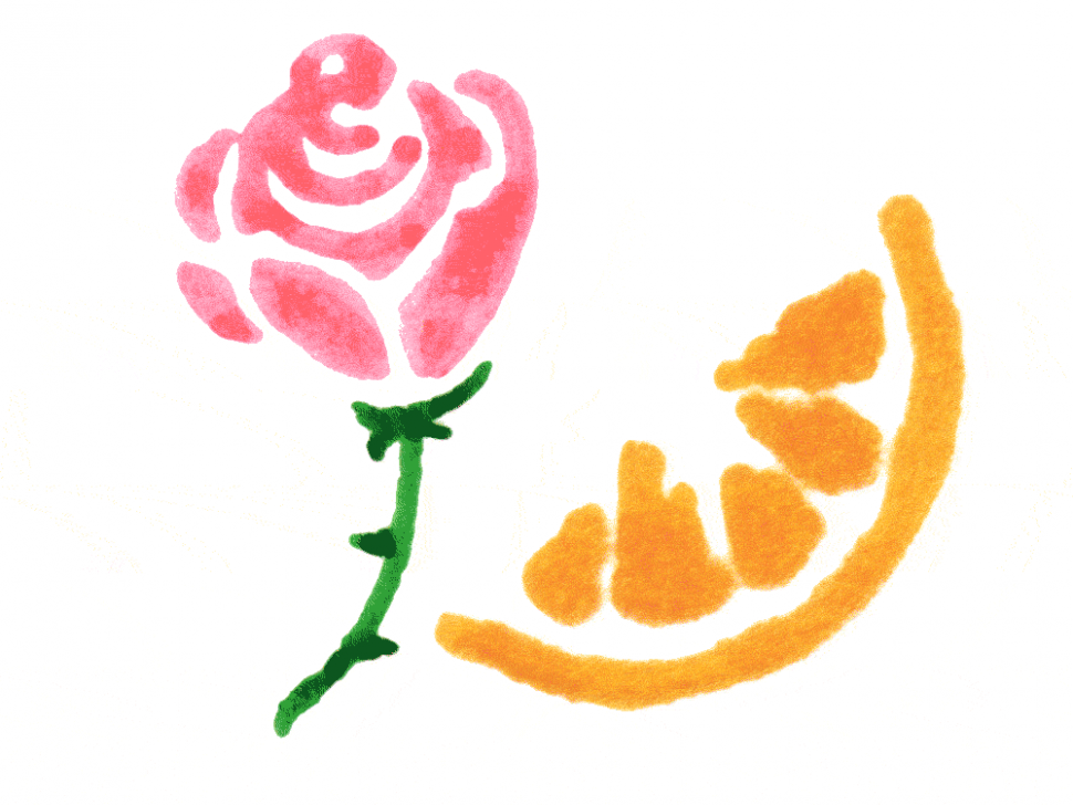 Rose and Citrus
